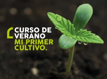 APERTURA DEL PRIMER INSTITUTO DE CULTIVO CANABICO