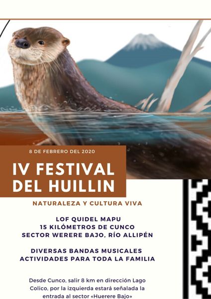 El 8 de febrero será la nueva versión del Festival del Huillin en el sector Huerere, comuna de Cunco