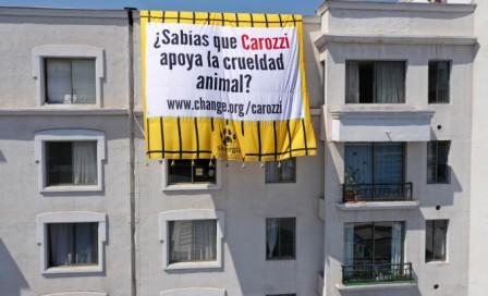 ONG Sinergia Animal extiende lienzo gigante en edificios como parte de campaña contra Carozzi