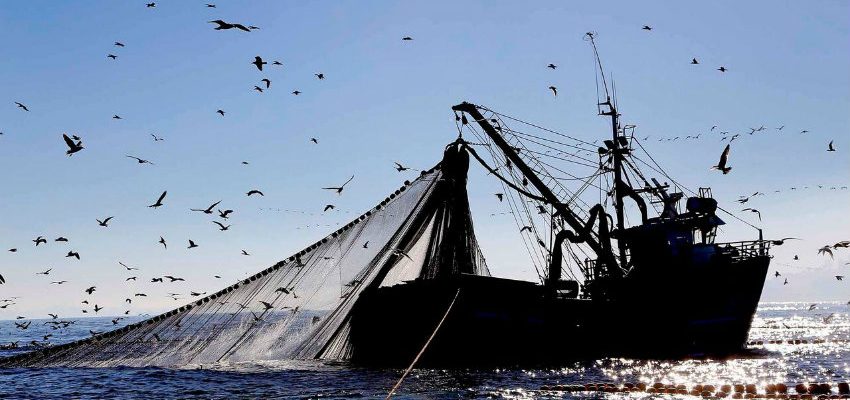 Monitoreo Satelital permitirá una mayor efectividad en el combate a la pesca ilegal