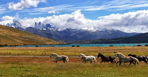Turismo en cuarentena: cómo reinventar la industria