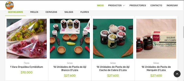 Lanzan campaña digital para ayudar a emprendedores de la Región del BíoBío