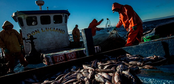 Pandemia y pesca artesanal