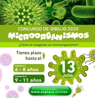 Niños y niñas podrán dibujar el mundo microscópico en concurso científico