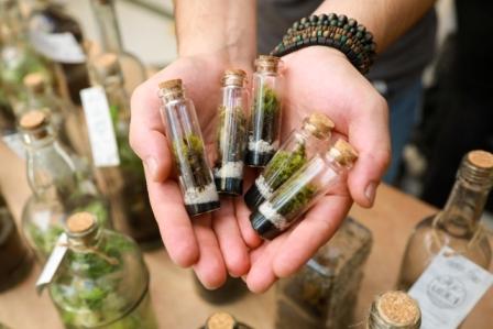 “Mercado Guaira Online”, la nueva feria virtual de emprendimiento creativo