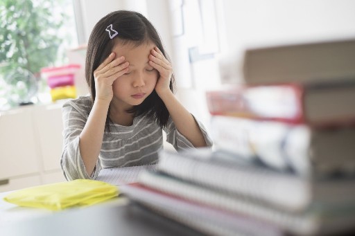 PLATAFORMAS DE EDUCACIÓN PERMITEN AHORA IDENTIFICAR FALENCIAS DE LOS ESTUDIANTES