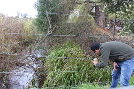 MEJORARÁN RIBERA DE ESTERO EN GORBEA