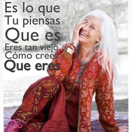 ¿QUÉ PREFIEREN HACER LAS PERSONAS SOBRE 50 AÑOS EN ESTA CUARENTENA?