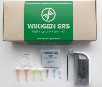 Chilenos crean un kit portátil para detección de patógenos en salmonicultura